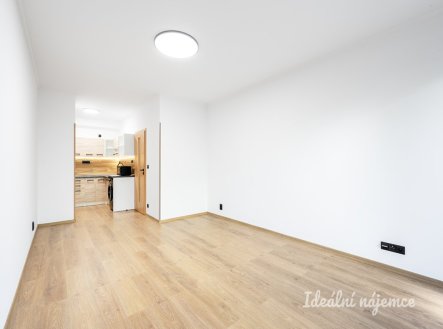 Pronájem bytu, 1+kk, 36 m²