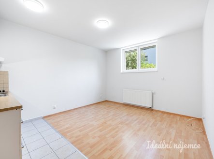 Pronájem bytu, 1+kk, 31 m²