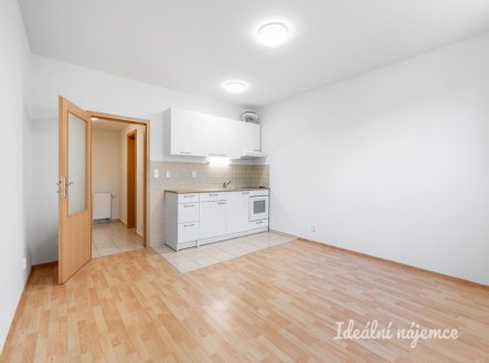 Pronájem bytu, 1+kk, 31 m²