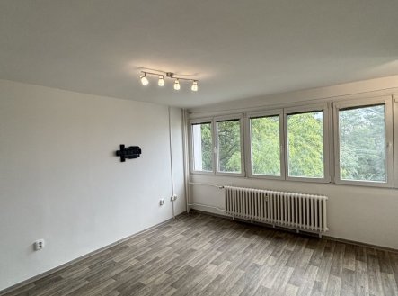 Pronájem bytu, 1+kk, 28 m²