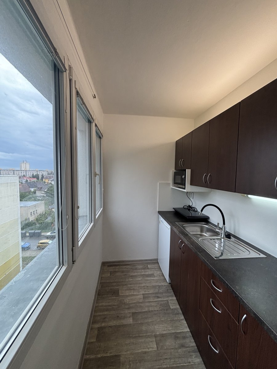 Pronájem bytu 1+kk, Severní, Slezské Předměstí, 14200 Kč/měs, 28 m2