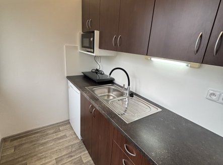 Pronájem bytu, 1+kk, 28 m²