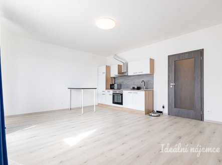 Pronájem bytu, 1+kk, 34 m²