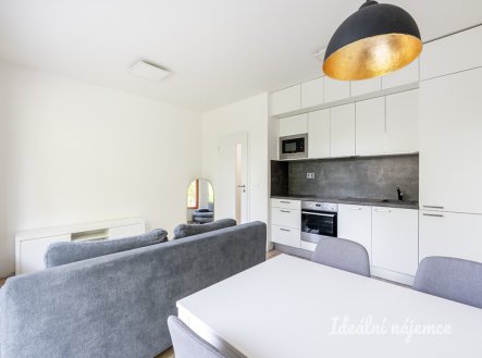 Pronájem bytu, 2+kk, 46 m²