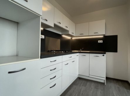 Pronájem bytu, 1+1, 38 m²