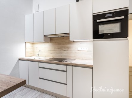 Pronájem bytu, 1+kk, 47 m²