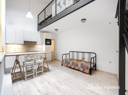 Pronájem bytu, 1+kk, 47 m²