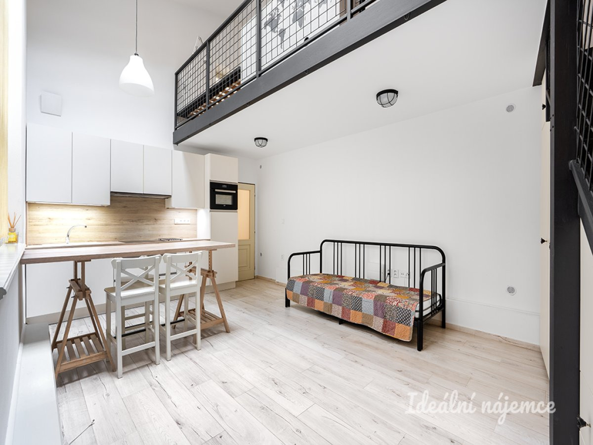 Pronájem ateliéru 1+kk, Na Moráni, Nové Město, 22900 Kč/měs, 47 m2
