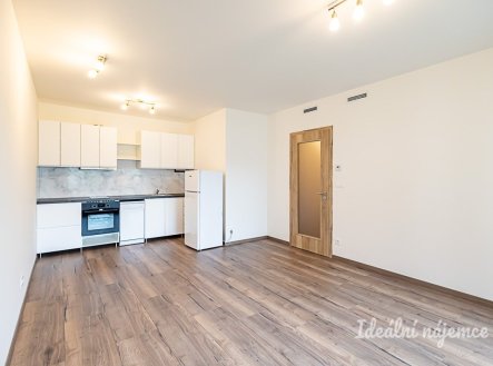 Pronájem bytu, 1+kk, 33 m²