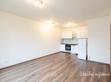 Pronájem bytu, 1+kk, 33 m²