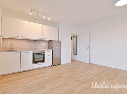 Pronájem bytu, 1+kk, 29 m²