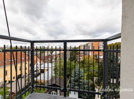 Pronájem bytu, 1+kk, 29 m²