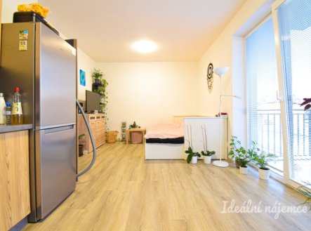 Pronájem bytu, 1+kk, 33 m²