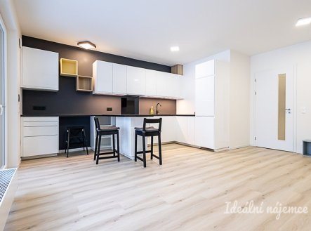 Pronájem bytu, 1+kk, 40 m²