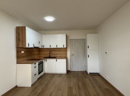 Pronájem bytu, 2+1, 65 m² obrázek