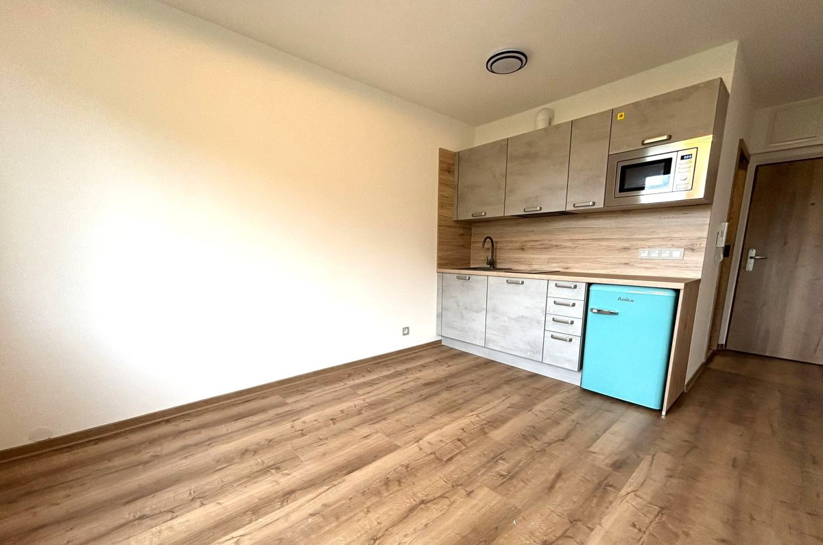 Pronájem bytu 1+kk, Dolní Bělá, Dolní Bělá, 7500 Kč/měs, 20 m2