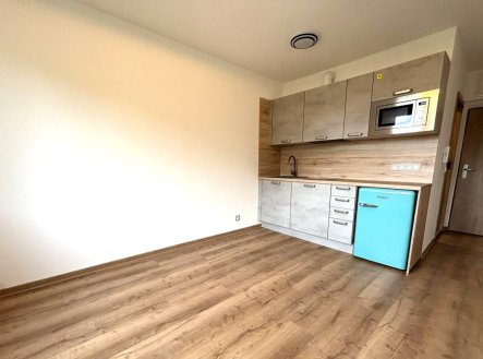 Pronájem bytu, 1+kk, 20 m²