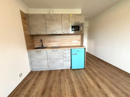 Pronájem bytu, 1+kk, 20 m²