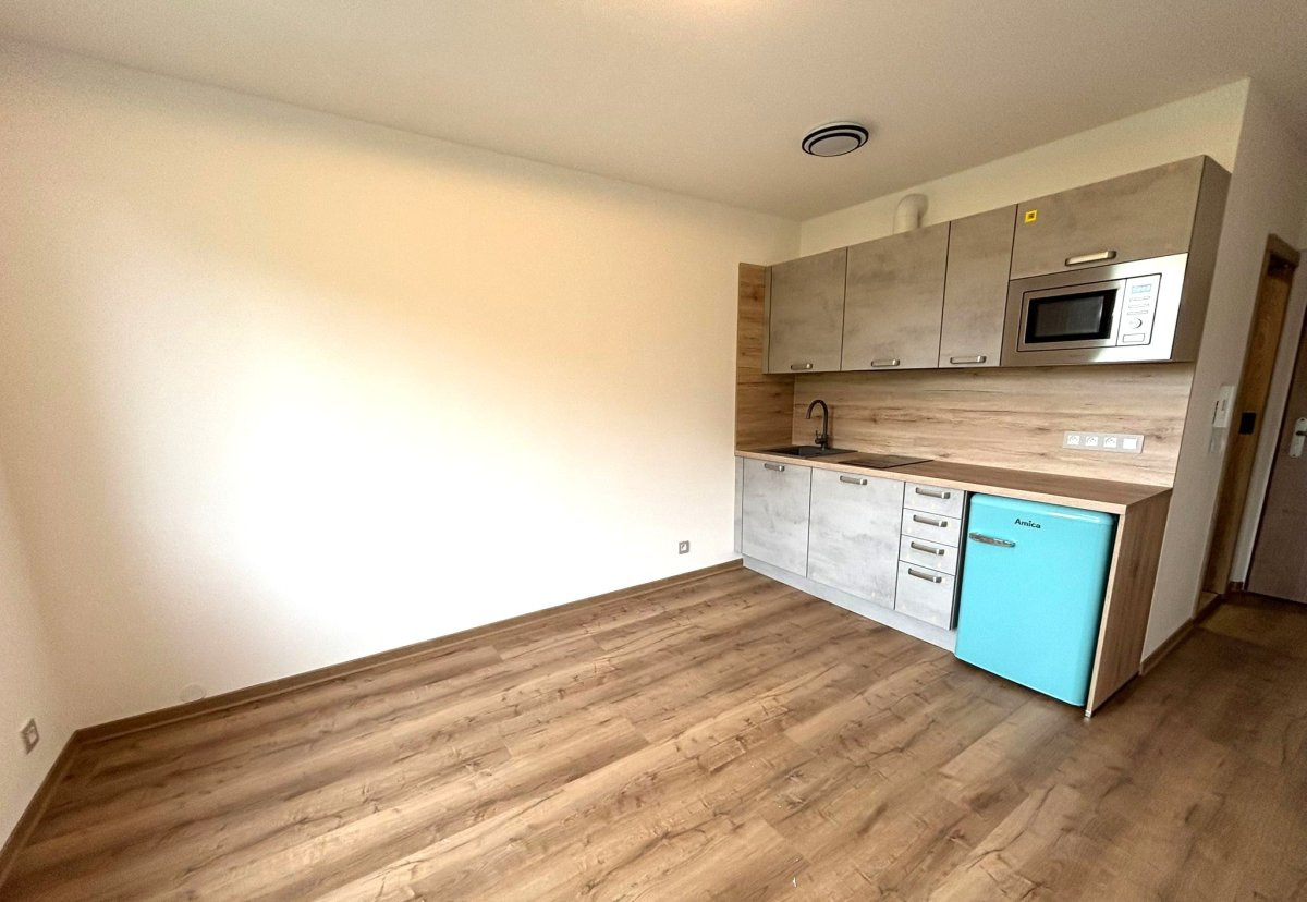 Pronájem bytu 1+kk, Dolní Bělá, Dolní Bělá, 7500 Kč/měs, 20 m2
