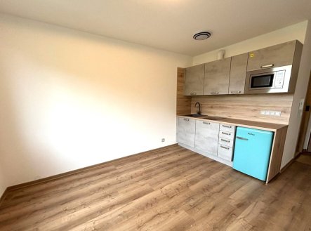 Pronájem bytu, 1+kk, 20 m²