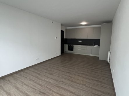 Pronájem bytu, 2+kk, 57 m²