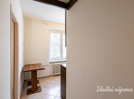 Pronájem bytu, 2+1, 55 m²