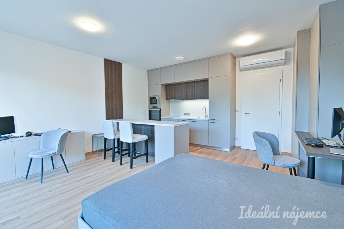 Pronájem bytu 1+kk, Hybešova, Staré Brno, 22000 Kč/měs, 39 m2