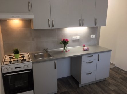 Pronájem bytu, 1+1, 36 m²