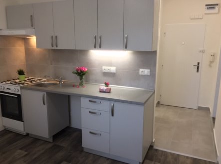 Pronájem bytu, 1+1, 36 m²