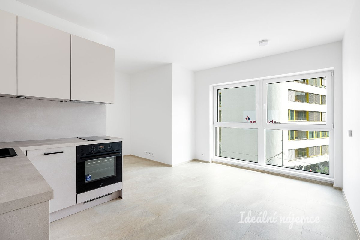 Pronájem bytu 1+kk, Plzeňská, Smíchov, 29 m2