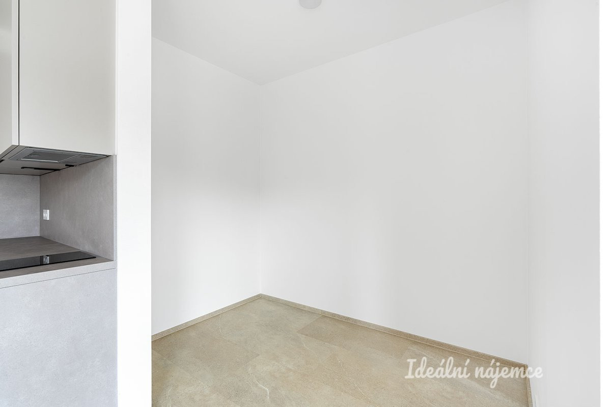 Pronájem bytu 1+kk, Plzeňská, Smíchov, 29 m2
