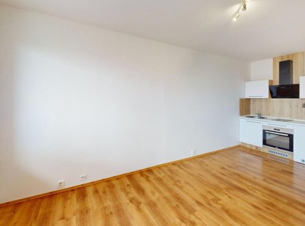 Pronájem bytu, 1+kk, 28 m²