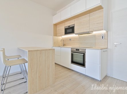 Pronájem bytu, 1+kk, 28 m²
