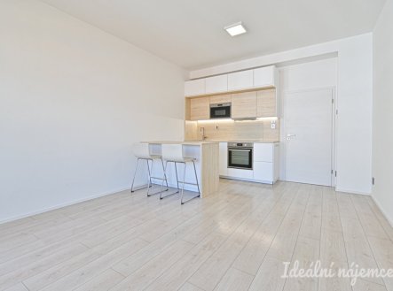 Pronájem bytu, 1+kk, 28 m²