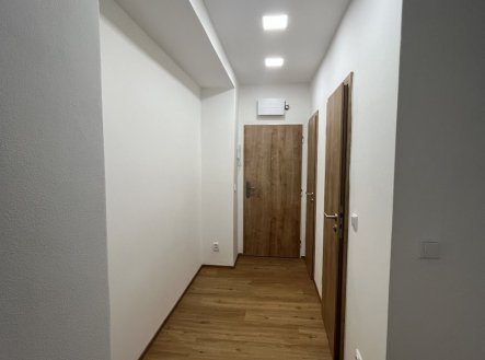 Pronájem bytu, 2+1, 53 m²