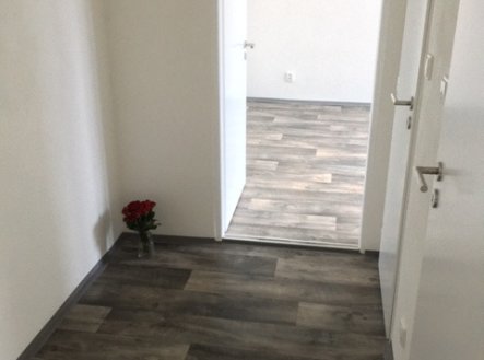 Pronájem bytu, 2+1, 54 m²