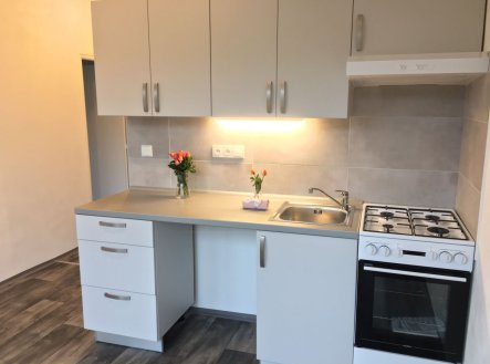 Pronájem bytu, 1+1, 38 m²