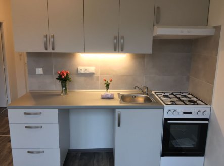 Pronájem bytu, 1+1, 38 m²