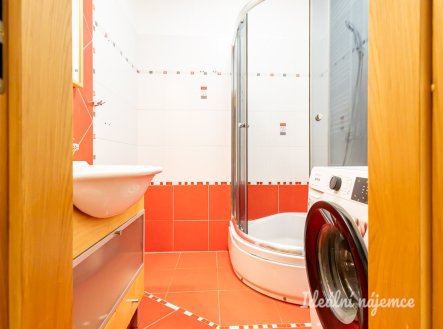 Pronájem bytu, 1+1, 45 m²