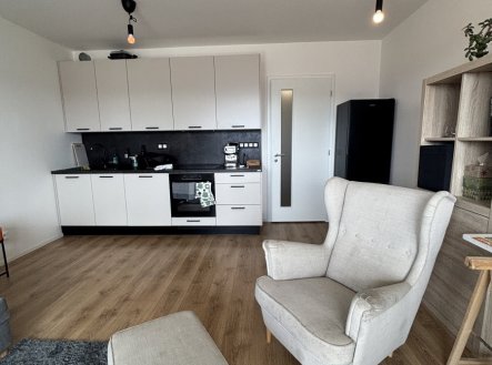 Pronájem bytu, 1+kk, 29 m²