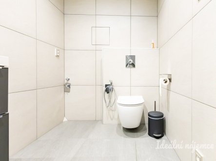 Pronájem bytu, 2+kk, 56 m²