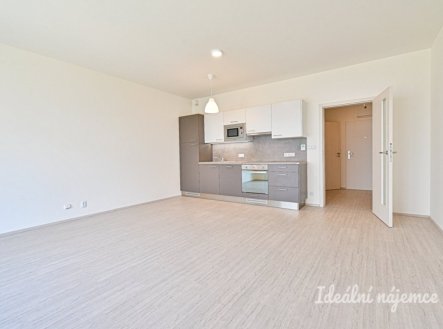 Pronájem bytu, 1+kk, 39 m²