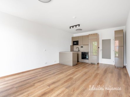Pronájem bytu, 1+kk, 36 m²