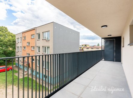 Pronájem bytu, 1+kk, 32 m²