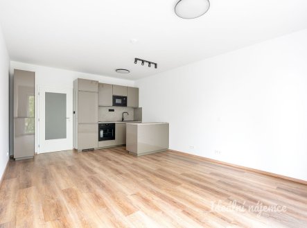 Pronájem bytu, 1+kk, 32 m²