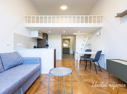 Pronájem bytu, 1+kk, 48 m²