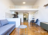 Pronájem bytu, 1+kk, 48 m²