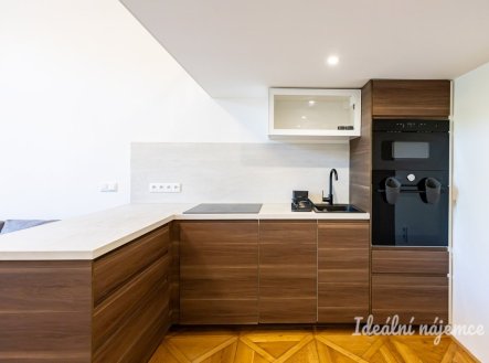 Pronájem bytu, 1+kk, 48 m²