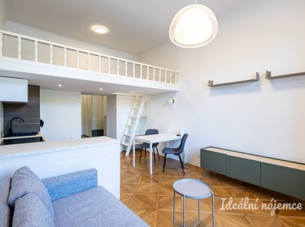 Pronájem bytu, 1+kk, 48 m²