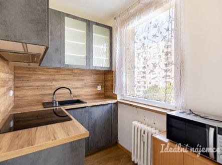 Pronájem bytu, 1+kk, 29 m²